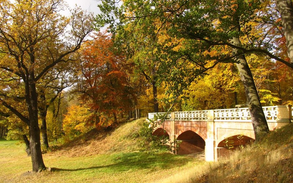 Most Królewski w Parku Mużakowskim.