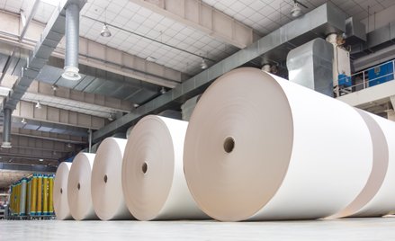 Arcitc Paper rozczarował inwestorów wynikami