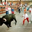Z Pampeluny do USA. Amerykanie chcą się ścigać z bykami