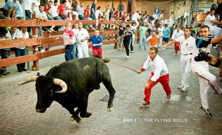 Z Pampeluny do USA. Amerykanie chcą się ścigać z bykami
