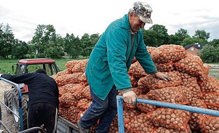 Liczba zatrudnionych wzrasta. Według ekspetów to nie tylko efekt prac sezonowych w rolnictwie