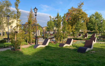 W miejscu zdegradowanej przestrzeni nad rzeką Cedron w Wejherowie  powstał park – oaza zieleni zachę