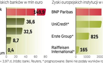 Banki prezentują wyniki za 2009 r.: Rekordowych zysków i strat nie będzie