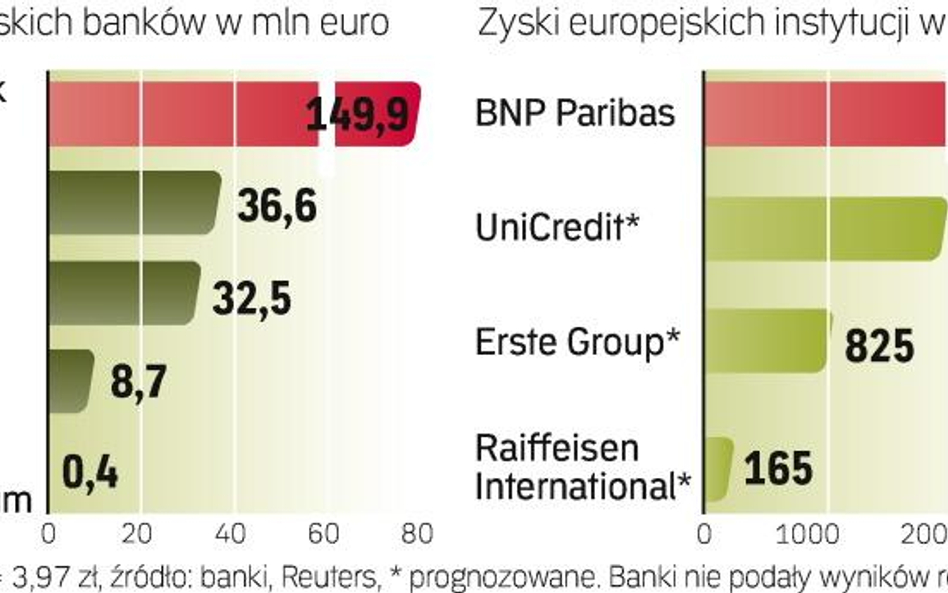 Banki prezentują wyniki za 2009 r.: Rekordowych zysków i strat nie będzie