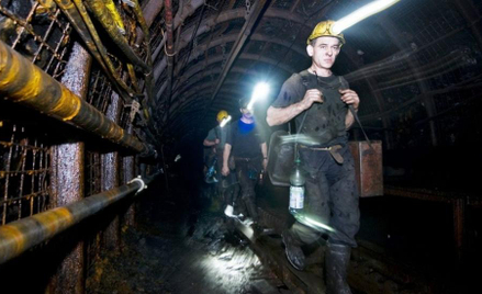 Pracownicy PGG otrzymali po 1,2 tys. zł brutto jednorazowej nagrody