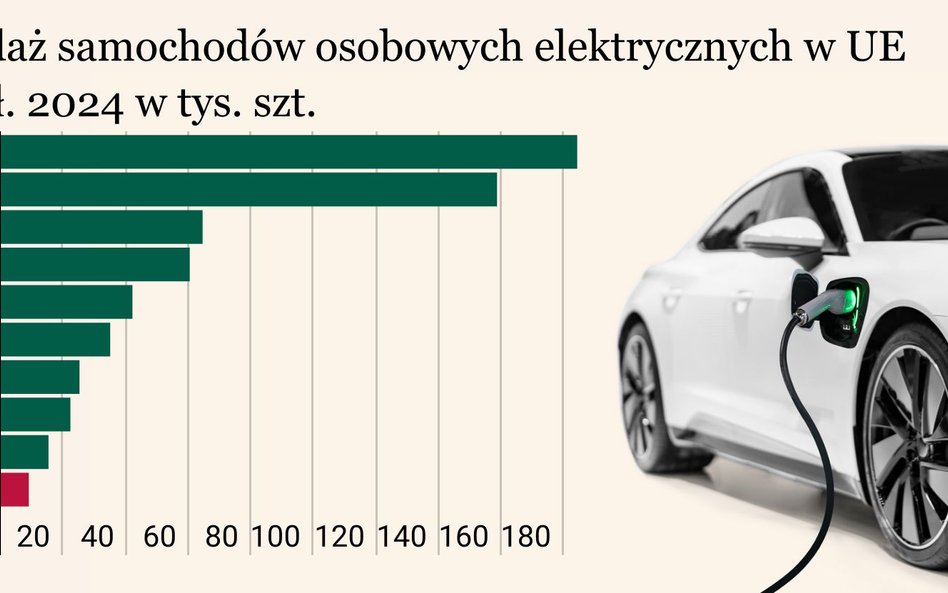 Przyszłość aut na prąd zaczyna być niepewna. Koniec dotacji. Dlaczego Europa ich nie chce?