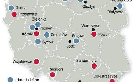 Co to jest arboretum?