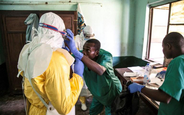 Wirus ebola wrócił