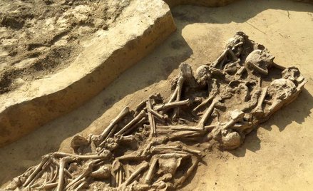 Grób zbiorowy z okresu późnego neolitu z rozczłonkowanymi szkieletami / Monika Bajka