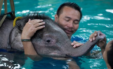 Na ratunek Czystemu Niebu