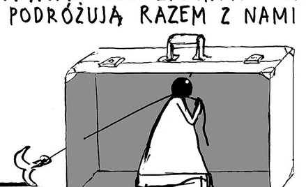 Komentarz rysunkowy
