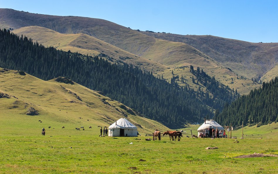 Kazachstan będąc dziewiątym państwem na świecie pod względem powierzchni jest wymagającym rynkiem, j