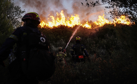 Strażacy podczas tegorocznych pożarów w Grecji.