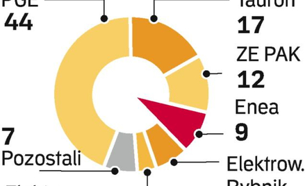 Przejmując Eneę, Vattenfall zwiększy udział w rynku do 12 proc. Poznańska grupa to właściciel elektr