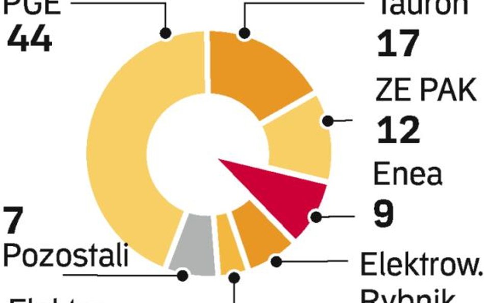 Przejmując Eneę, Vattenfall zwiększy udział w rynku do 12 proc. Poznańska grupa to właściciel elektr