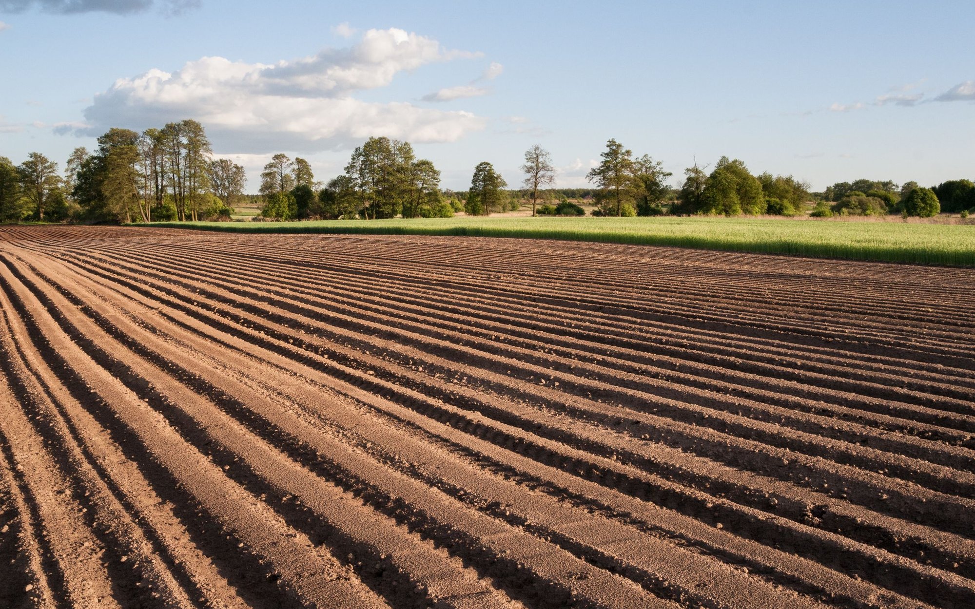 A long-term lease will aid  avoid the ban on purchasing agricultural land