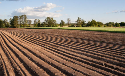 Długoletnia dzierżawa pozwoli uniknąć zakazu nabywania ziemi rolnej