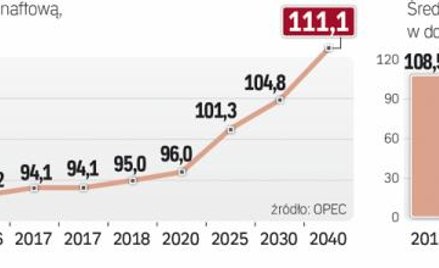 Popyt zwiększy się wyraźnie dopiero po 2020 roku