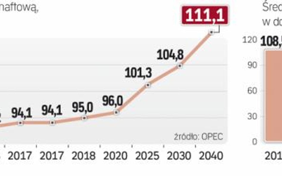 Popyt zwiększy się wyraźnie dopiero po 2020 roku