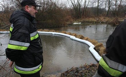 Można bedzie trafić do więzienia za zniszczenie przyrody