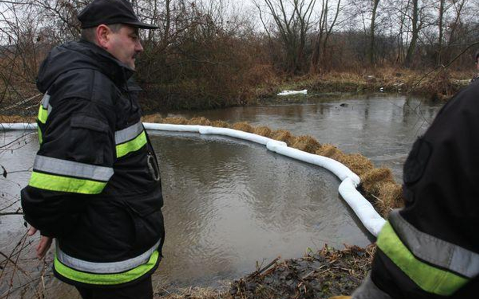 Można bedzie trafić do więzienia za zniszczenie przyrody