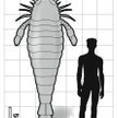Prehistoryczny skorpion większy od człowieka