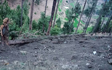Pakistan oskarża Indie o ekoterroryzm. "Bomby powaliły sosny"
