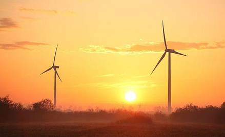 Energa: Inwestorzy wiatrowi sądzą się o setki milionów