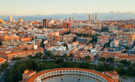 Las Metropolitalny: Madryt będzie otoczony „ścianą drzew”