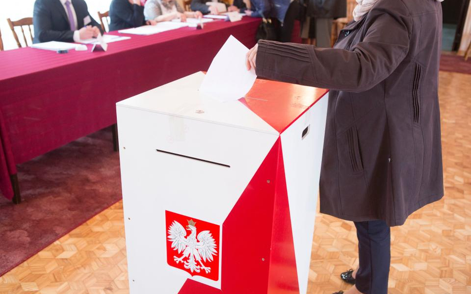 Senator PO: Małostkowe referendum