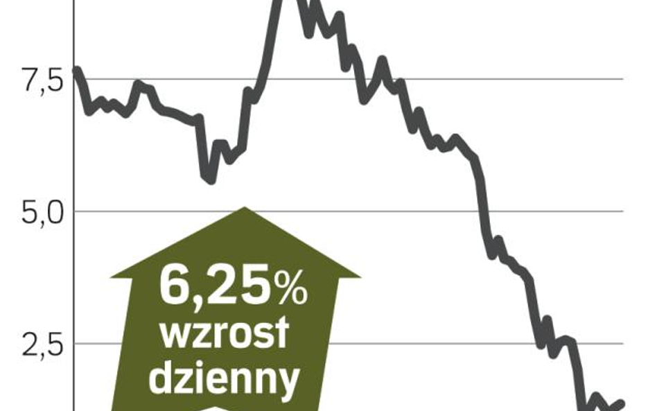 DSS – spółka, o której się mówi w Warszawie