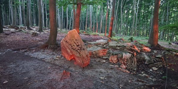 Bukowa Góra is 'Polish Stonehenge,' archaeologist says, citing new evidence of intentional design
