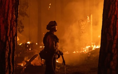 5G pomaga walczyć z pożarami lasów