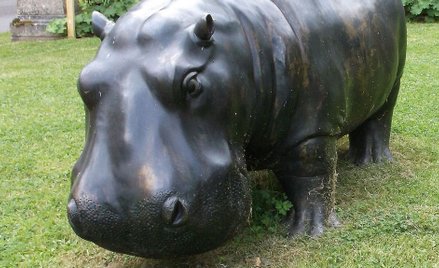 Wielka Brytania: Złodzieje ukradli wielką rzeźbę hipopotama. Ważyła trzy czwarte tony