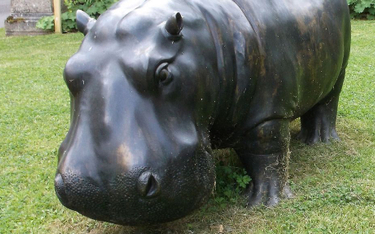 Wielka Brytania: Złodzieje ukradli wielką rzeźbę hipopotama. Ważyła trzy czwarte tony