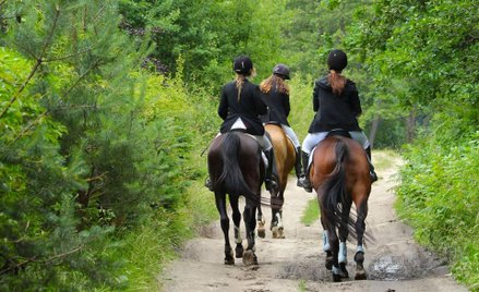 Odszkodowanie za kopnięcie przez konia poza ośrodkiem jeździeckim