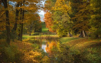 Łazienki Królewskie jesienią, widok na Belweder