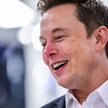 Elon Musk blisko zarobienia 700 mln dolarów