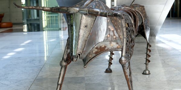 Byki tygodnia, czyli spółki z pozytywnymi sygnałami analizy technicznej