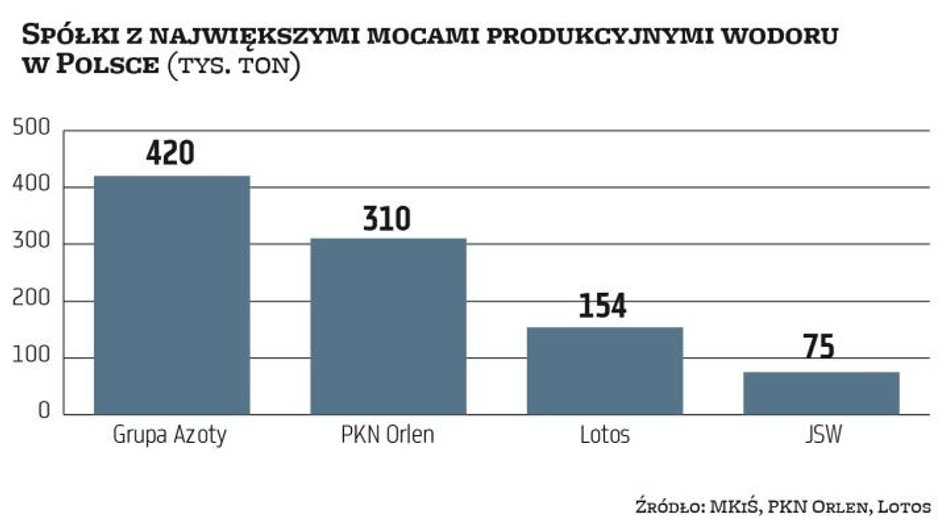 Polska produkuje rocznie ok. 1 mln ton wodoru. Głównymi jego wytwórcami i jednocześnie konsumentami 