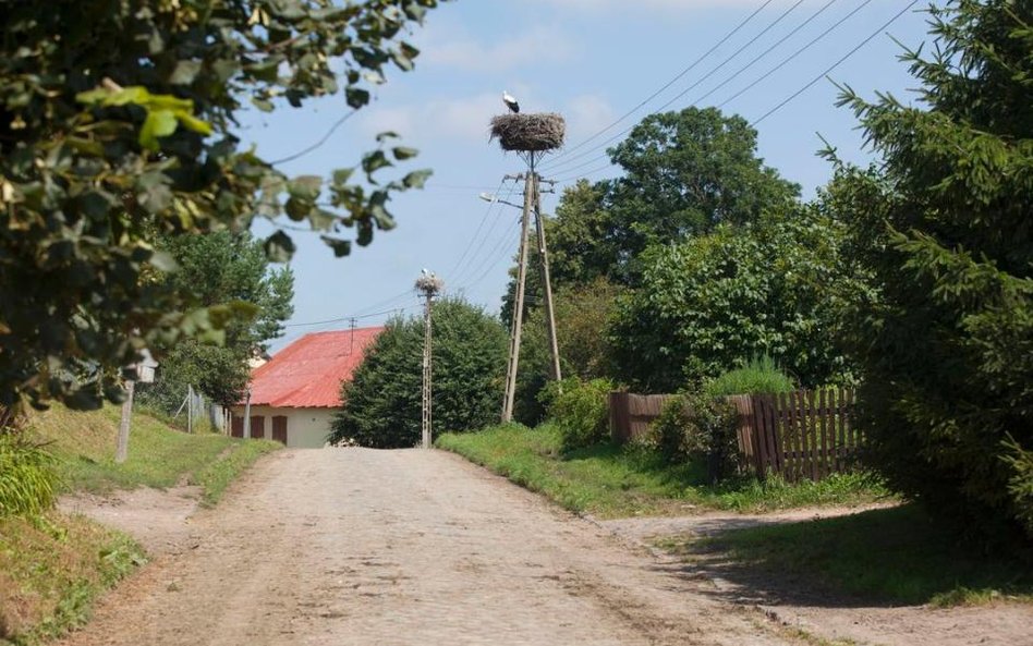 Ile za działkę na lato