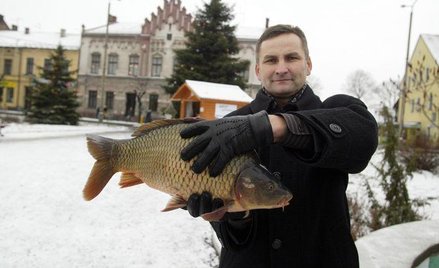 Burmistrz Zatora Zbigniew Bierna z... karpiem