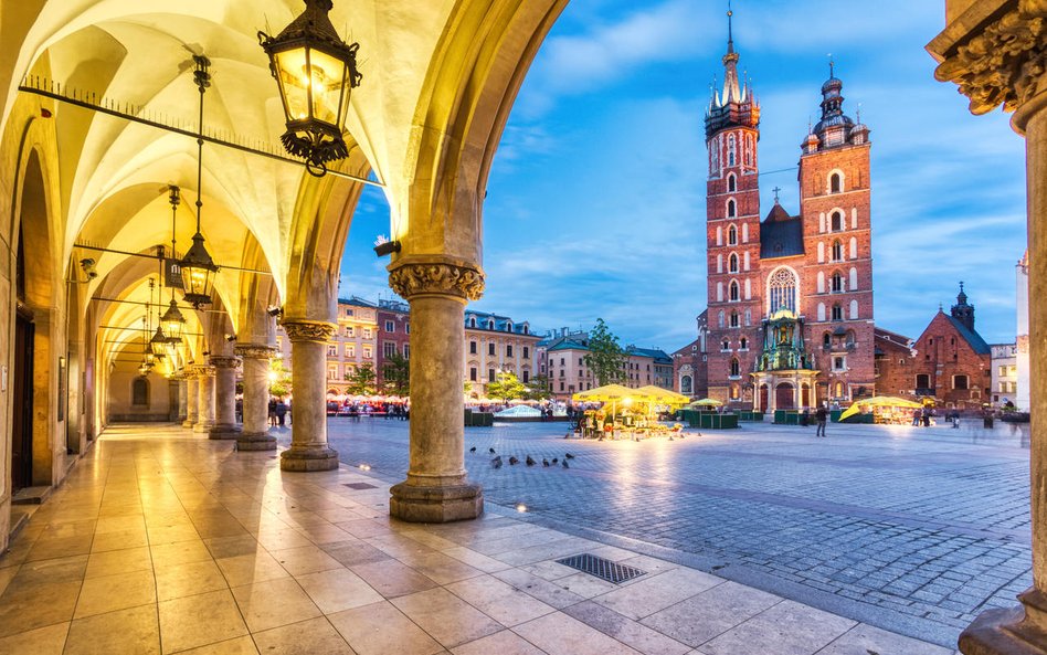 Na krakowskim rynku rośnie zaledwie kilka niewielkich drzewek. W przeszłości dużych drzew było tu o 