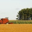SALIC jest bliski zakupu agro holdingu Mria