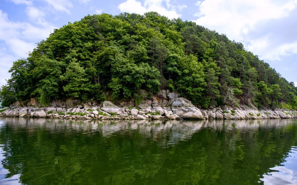 Małpia Wyspa na Jeziorze Rożnowskim w Gródku nad Dunajcem