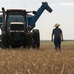 Syngenta ma sprzedać ziemię rolną, która znajduje się w Kansas