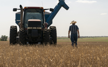 Syngenta ma sprzedać ziemię rolną, która znajduje się w Kansas