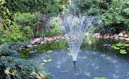 Oczko wodne nie zapobiegnie skutkom suszy, to ozdoba i nic więcej