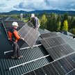 Człowiek Trumpa odpowiedzialny za energetykę krytykuje wiatr i chwali fotowoltaikę