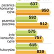Mięsa jest w bród